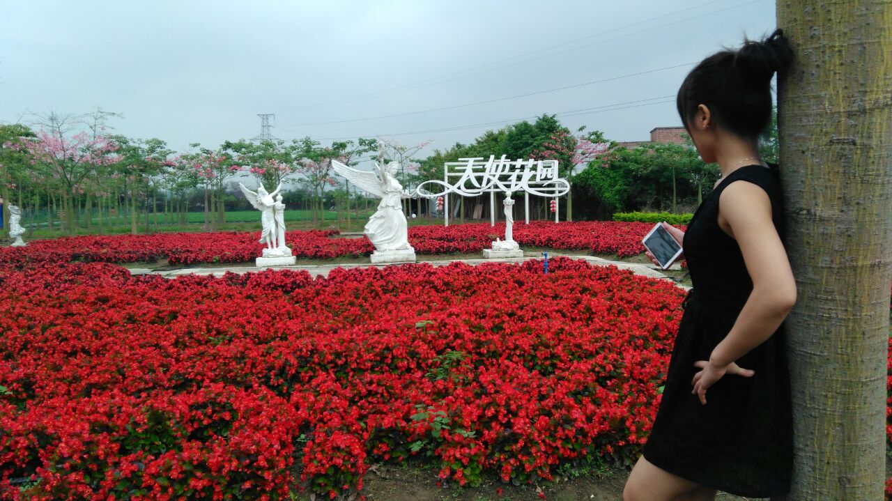 2019花都香草世界_旅游攻略_门票_地址_游记点评,花都旅游景点推荐