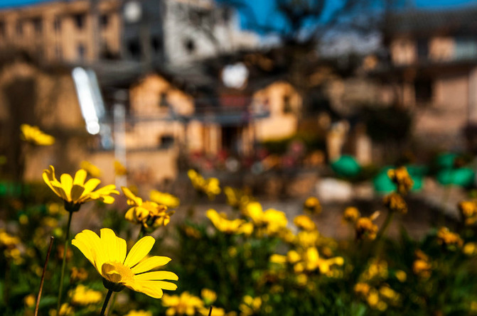 【漫步云滇之 嬉游红河 】