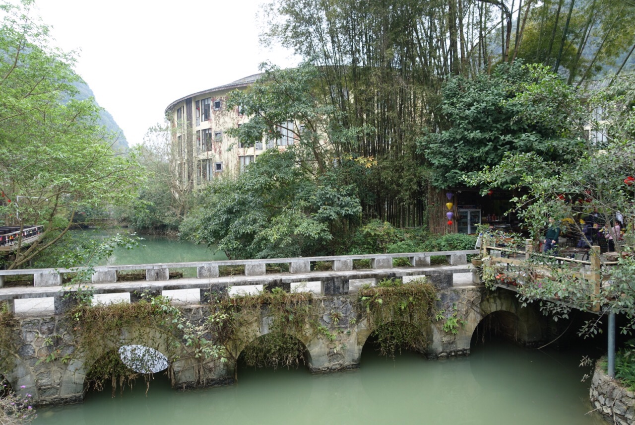 德天老木棉景区