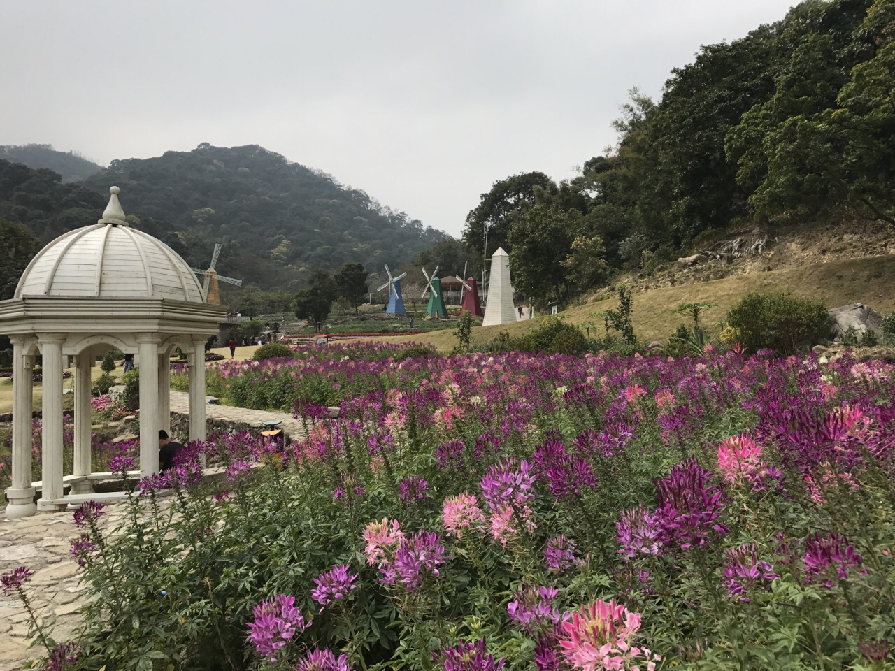 2019二龙山生态园_旅游攻略_门票_地址_游记点评,广州旅游景点推荐