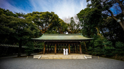 東京明治神宮 皇居 淺草 築地市場 東京灣巡航巴士一日遊【中文語音導