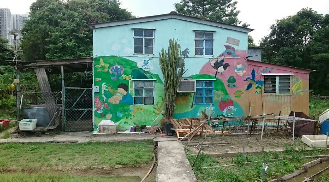 马宝宝社区农场