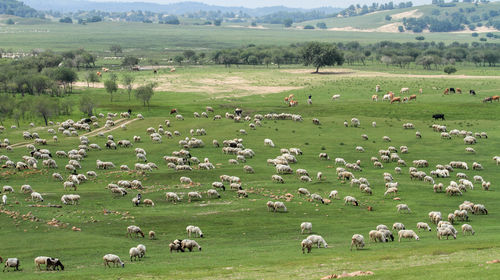 塞罕坝国家森林公园多久能逛完 10040e000000765mi5EE8_C_500_280_Q80.jpg