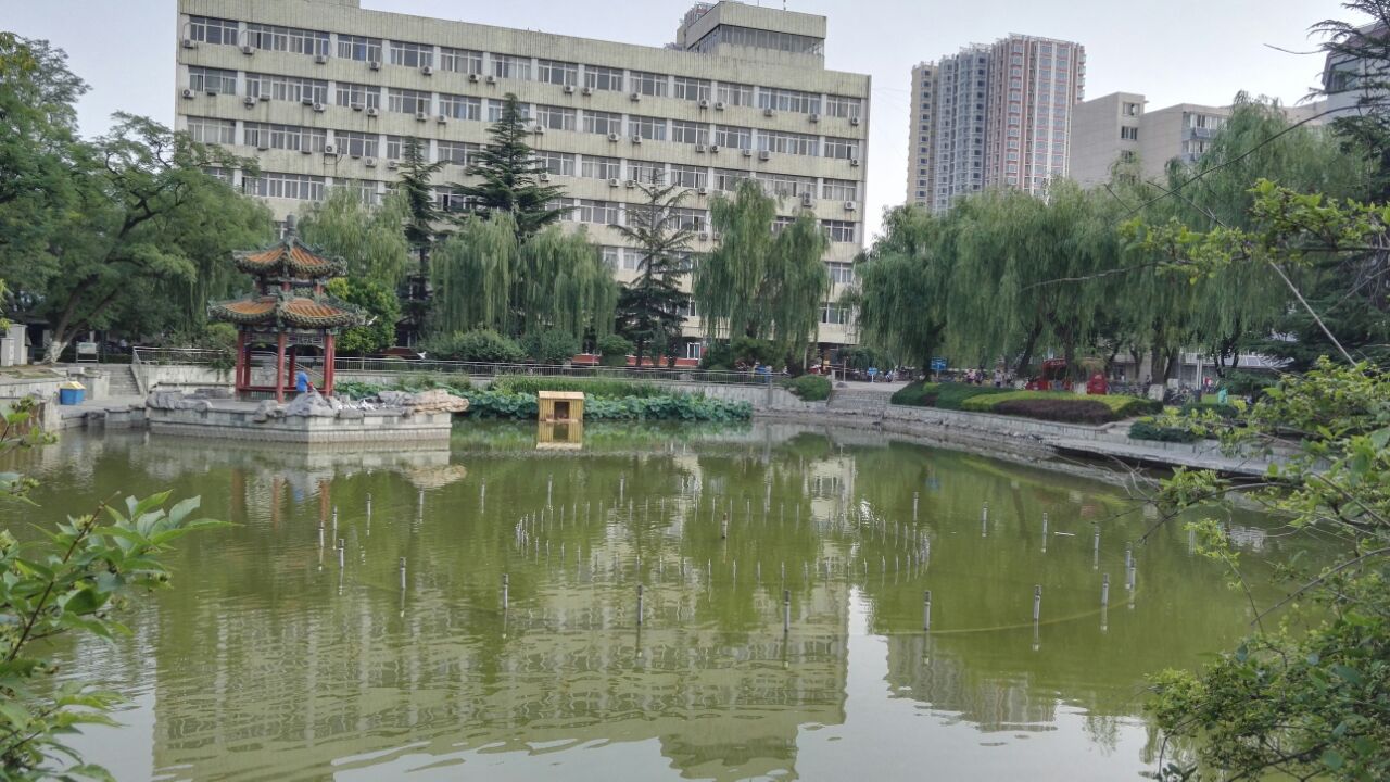 住在北交大旁边,常常进去散