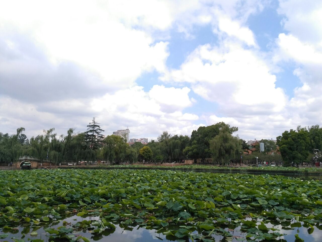 2019翠湖公園_旅遊攻略_門票_地址_遊記點評,昆明旅遊景點推薦 - 去