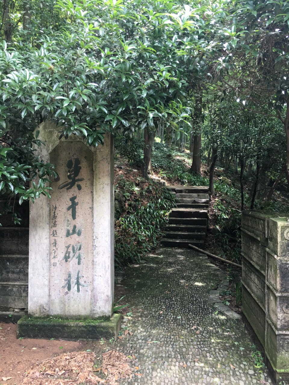 目的地 蘆花蕩 蘆花蕩公園為莫干山著名景點,園內樹林蔥蘢,流水淙淙