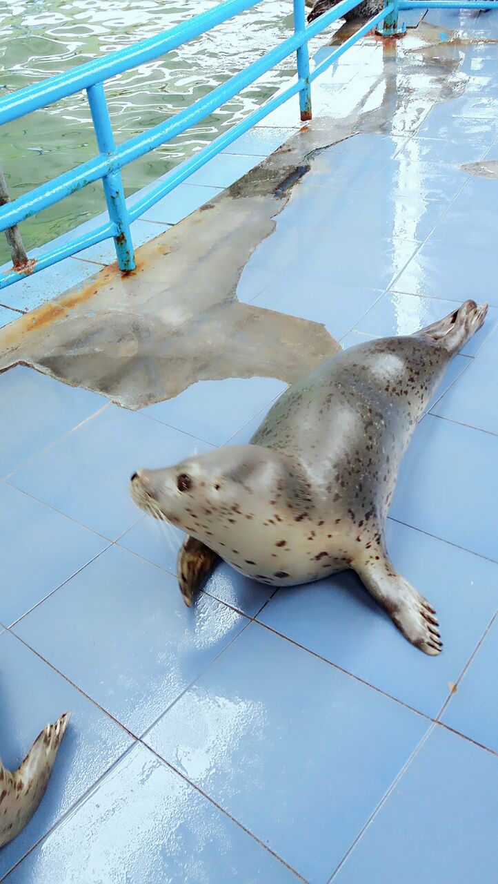 月牙湾公园