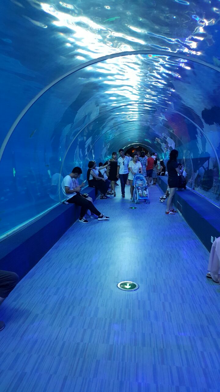 汉川汉海海洋馆图片