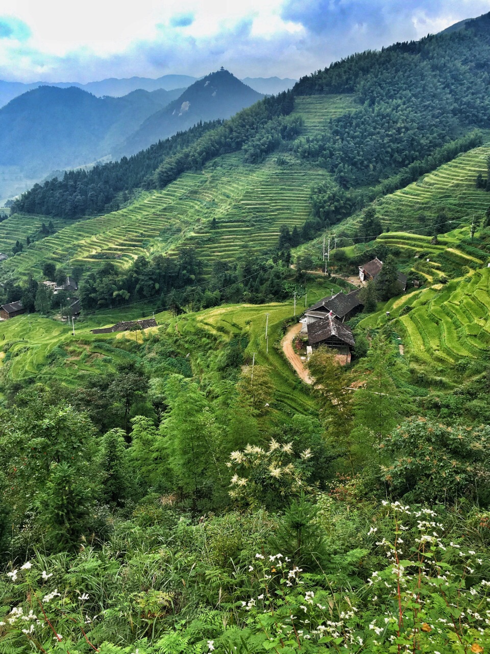 2019紫鵲界梯田_旅遊攻略_門票_地址_遊記點評,新化旅遊景點推薦 - 去