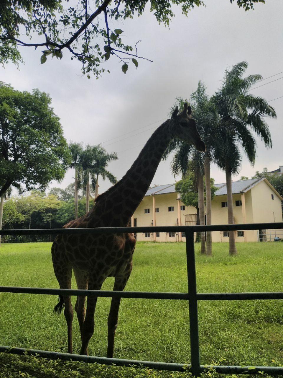 南寧動物園