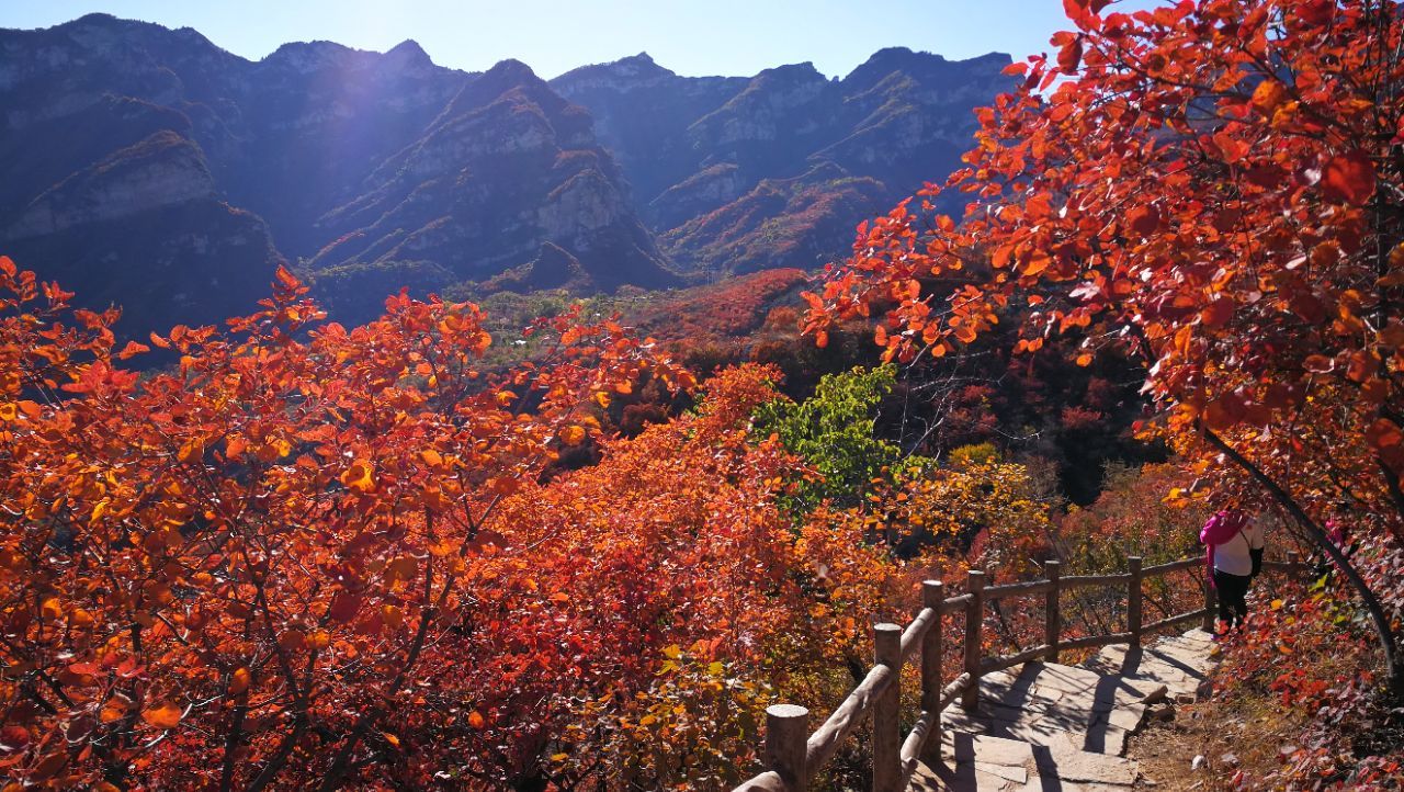 这次终于在坡峰岭圆梦.