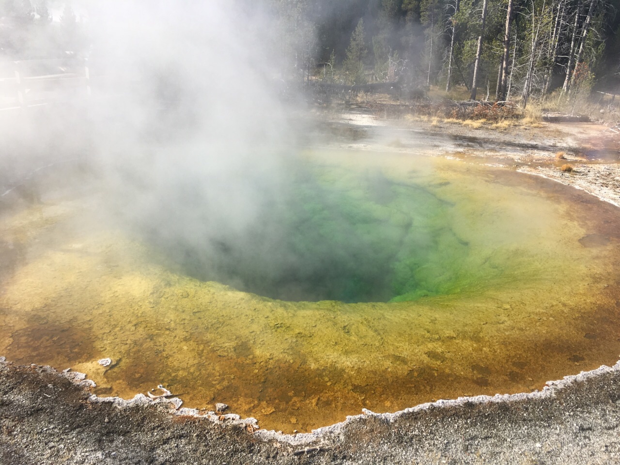 老忠实间歇泉old faithful geyser