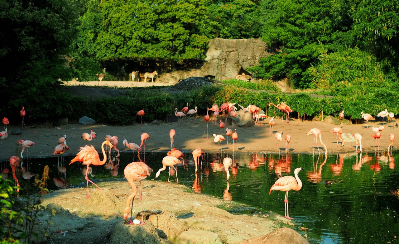 哈根贝克动物园