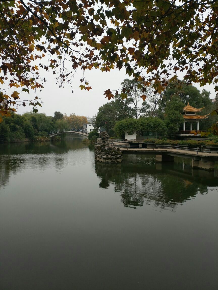 雨湖公园