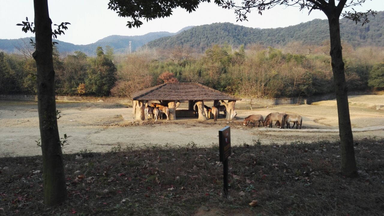 杭州野生動物世界