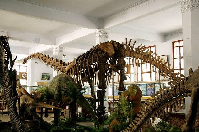 2023北碚恐龙遗址游玩攻略,北碚恐龙遗址,北碚是发现恐.