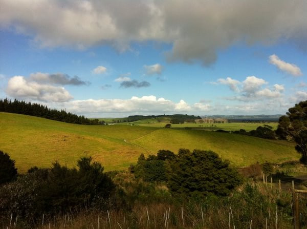 边做义工边旅行の新西兰环保义工体验报告