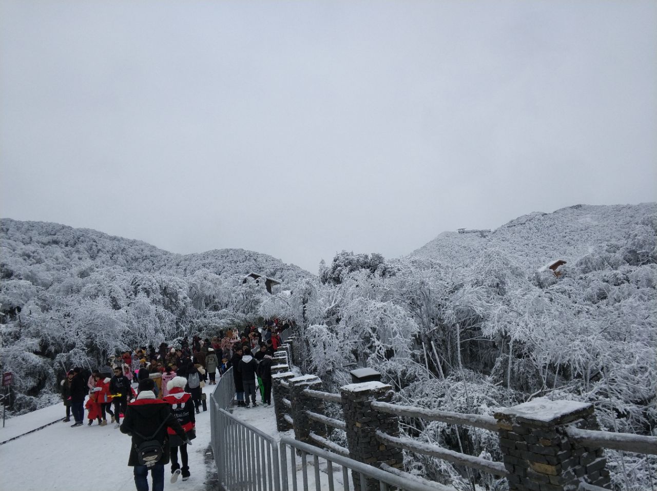 南川金佛山旅游攻略(南川金佛山旅游攻略玩耍景点)