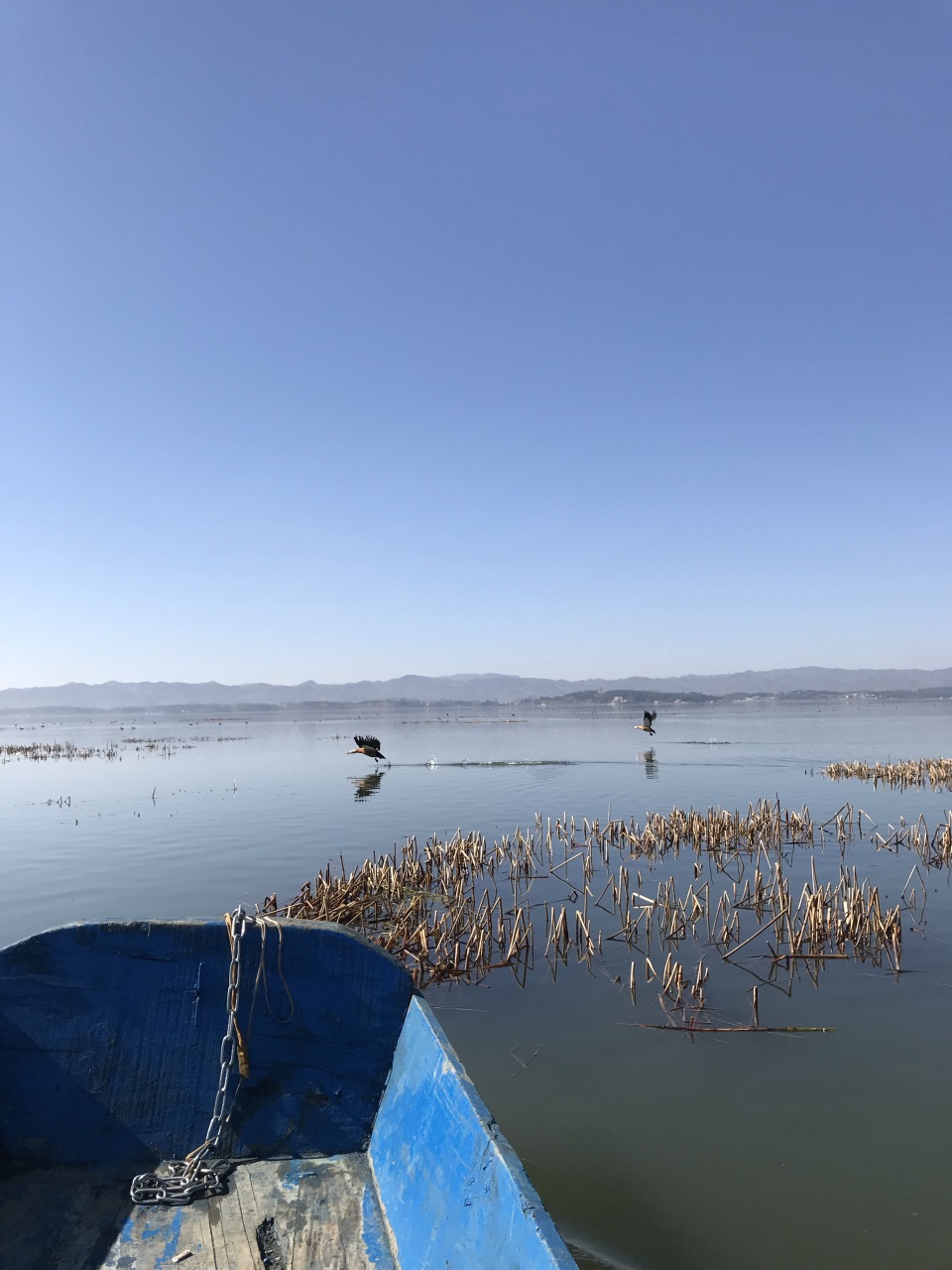 其实贵州威宁草海是国家级自然保护区,春夏看草秋冬看鸟,自然风景秀丽