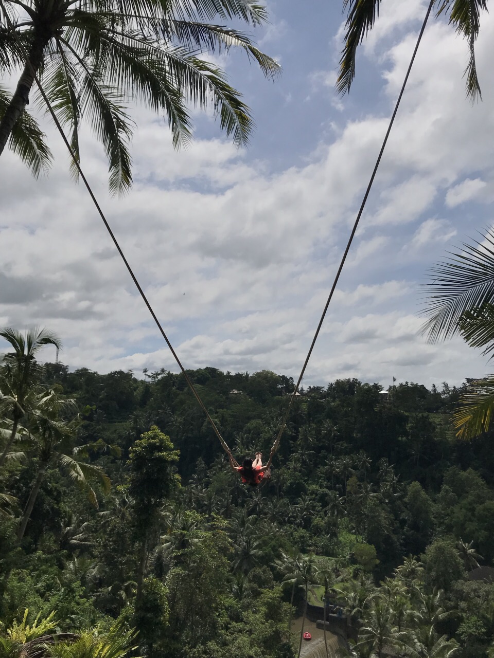 巴厘岛bali swing丛林大秋千一日游【ins网红热门景点,独立成团,行程