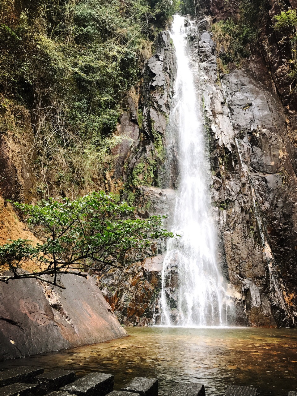 賀州姑婆山好玩嗎,賀州姑婆山景點怎麼樣_點評_評價【攜程攻略】