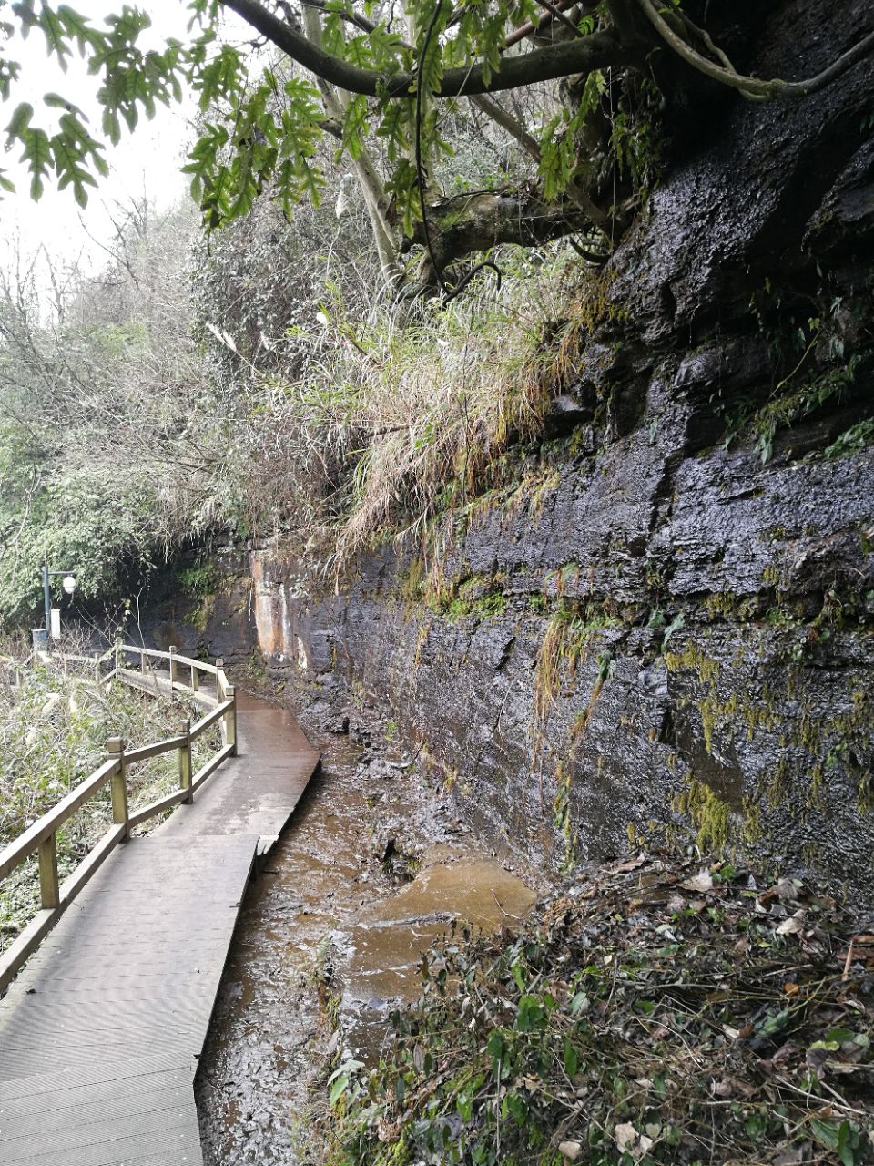 【携程攻略】遵义龙虎大道景点,海龙囤半山腰有个飞虎关,过了飞虎关