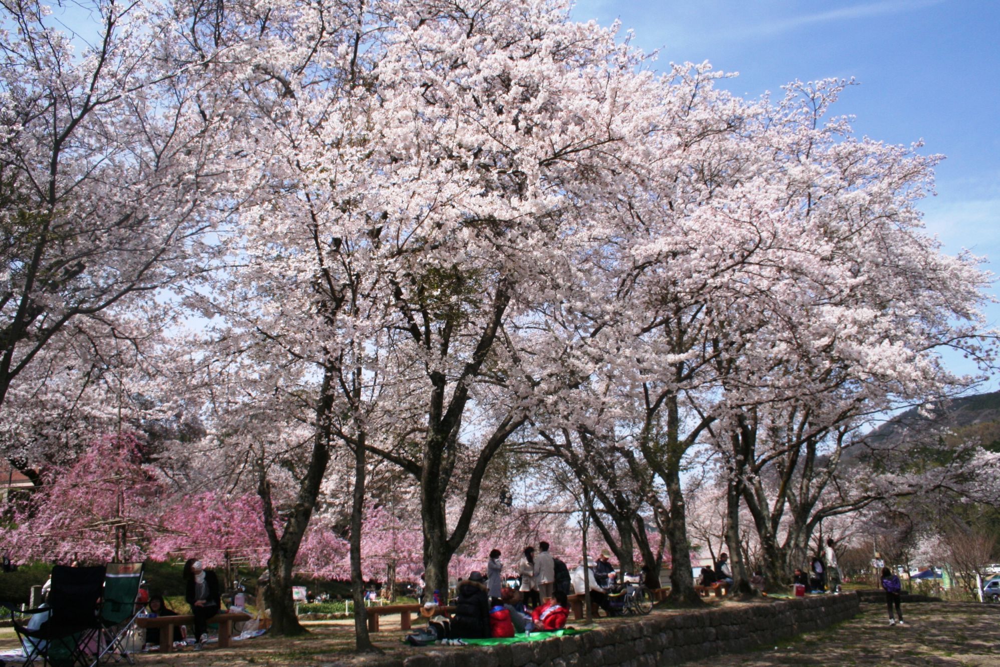 笠置山红叶公园