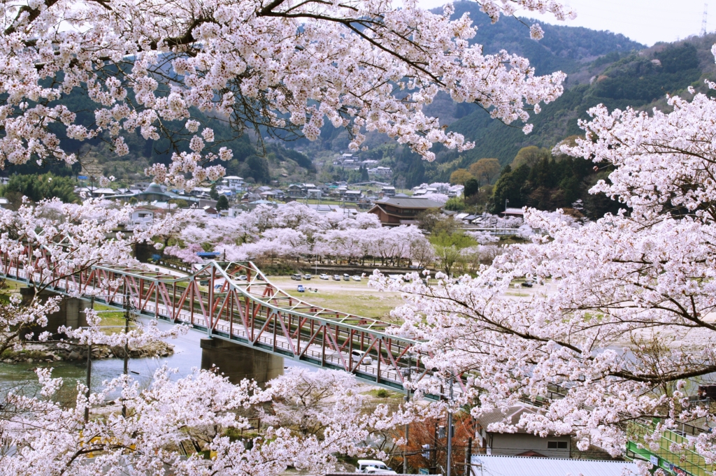 笠置山红叶公园