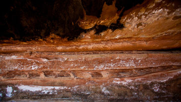 铜川陕甘边照金革命根据地旧址+薛家寨一日游