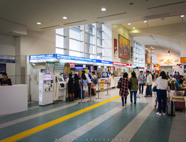 日本 让春日在烈阳下优美燃尽 携程氢气球