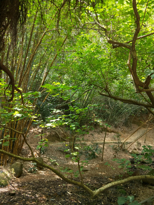 先有番禺后有广州,滴水岩森林公园,番禺沙湾古