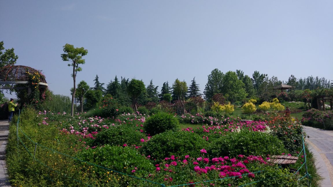 洛陽隋唐城遺址植物園好玩嗎,洛陽隋唐城遺址植物園景點怎麼樣_點評