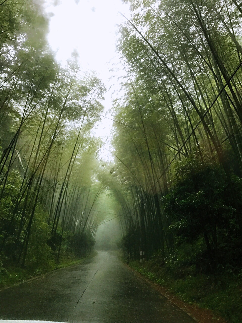 沿途上山的风景很美道路两旁郁郁葱葱的竹林但山顶的