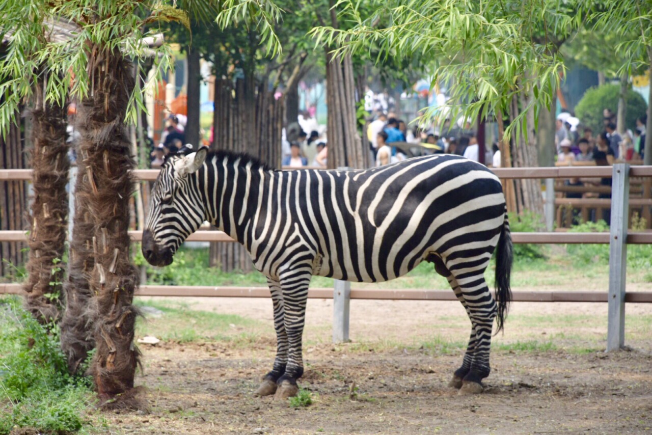 【携程攻略】郑州郑州动物园景点,河南唯一一家动物园,动物种类还挺多