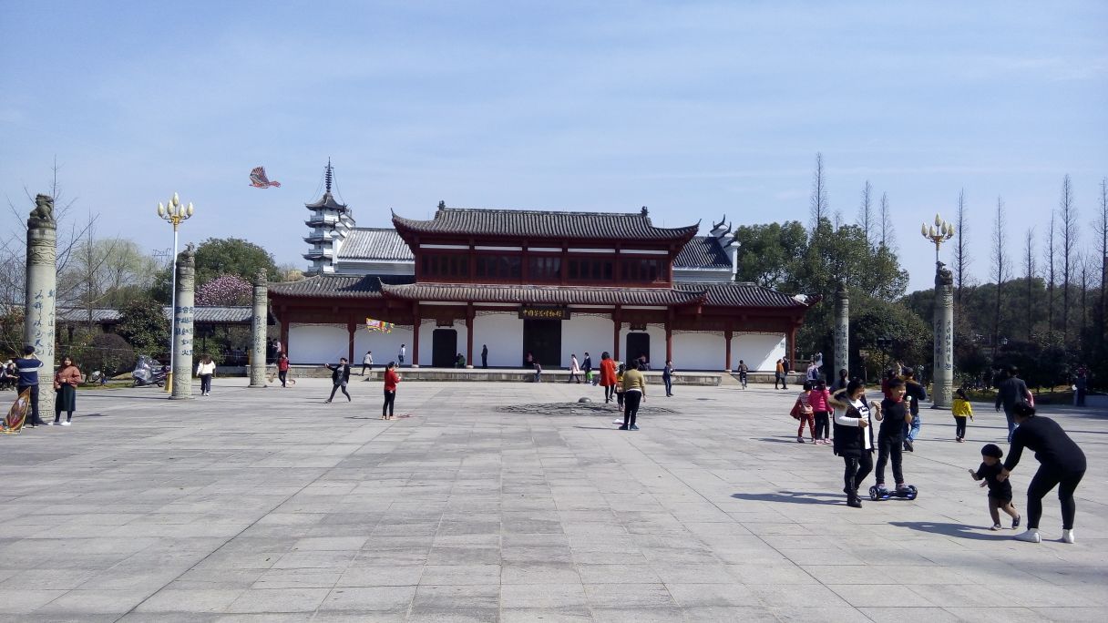 2023中国茶花文化园茶花育种基地游玩攻略,公园挺大的,茶花是金华市的