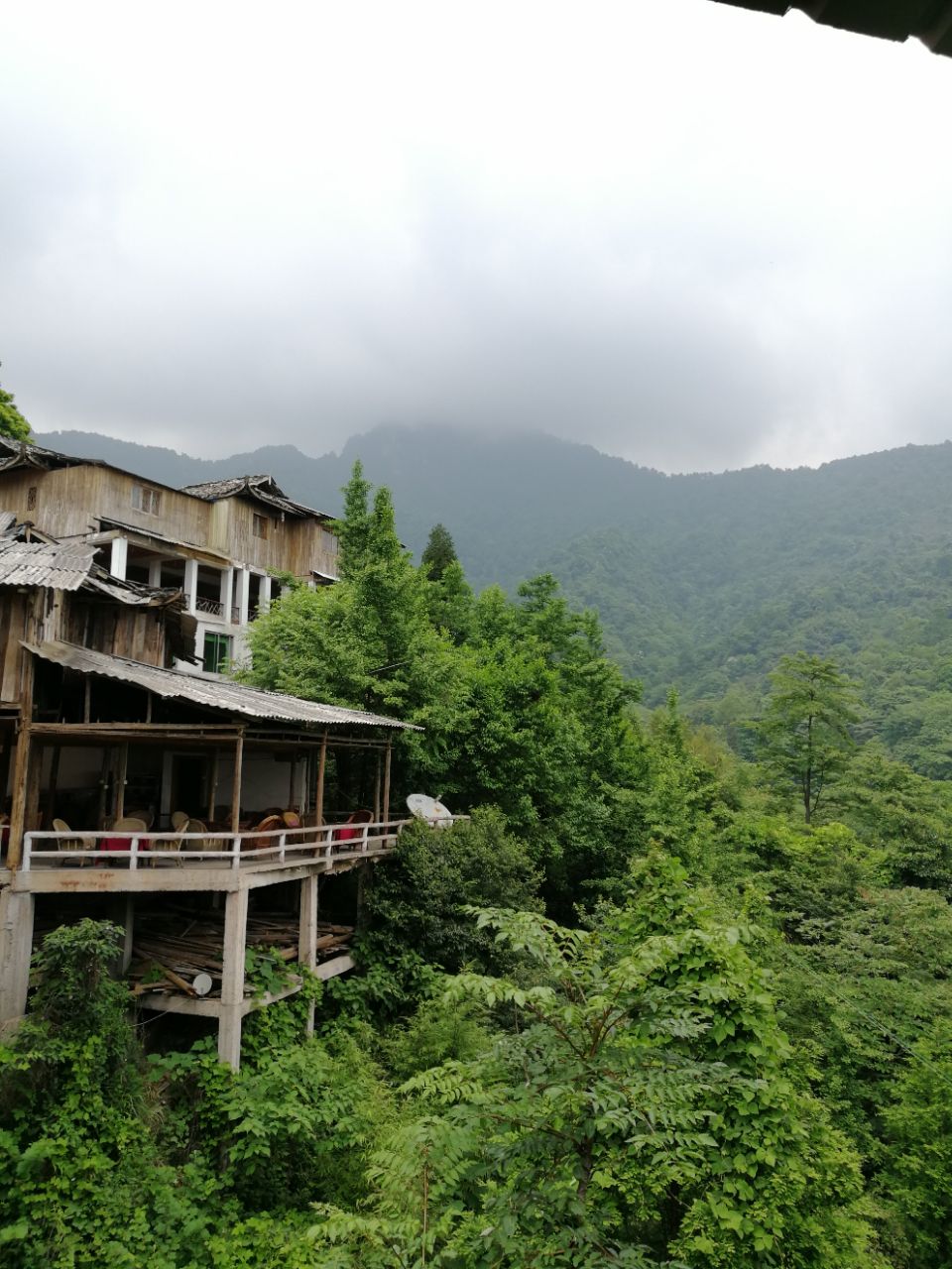 青城山青城后山好玩吗,青城山青城后山景点怎么样_点评_评价【携程
