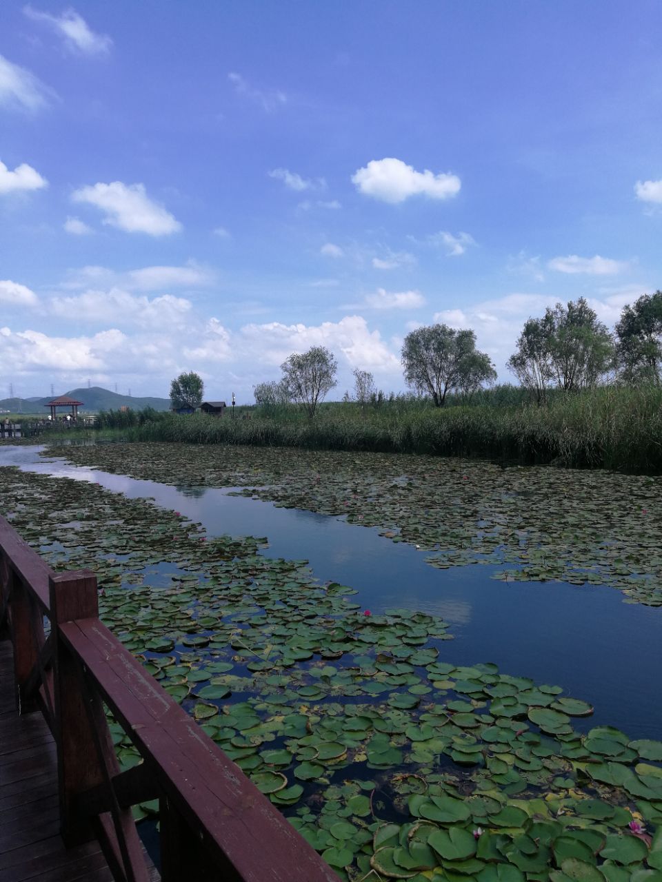苏州太湖湖滨国家湿地公园