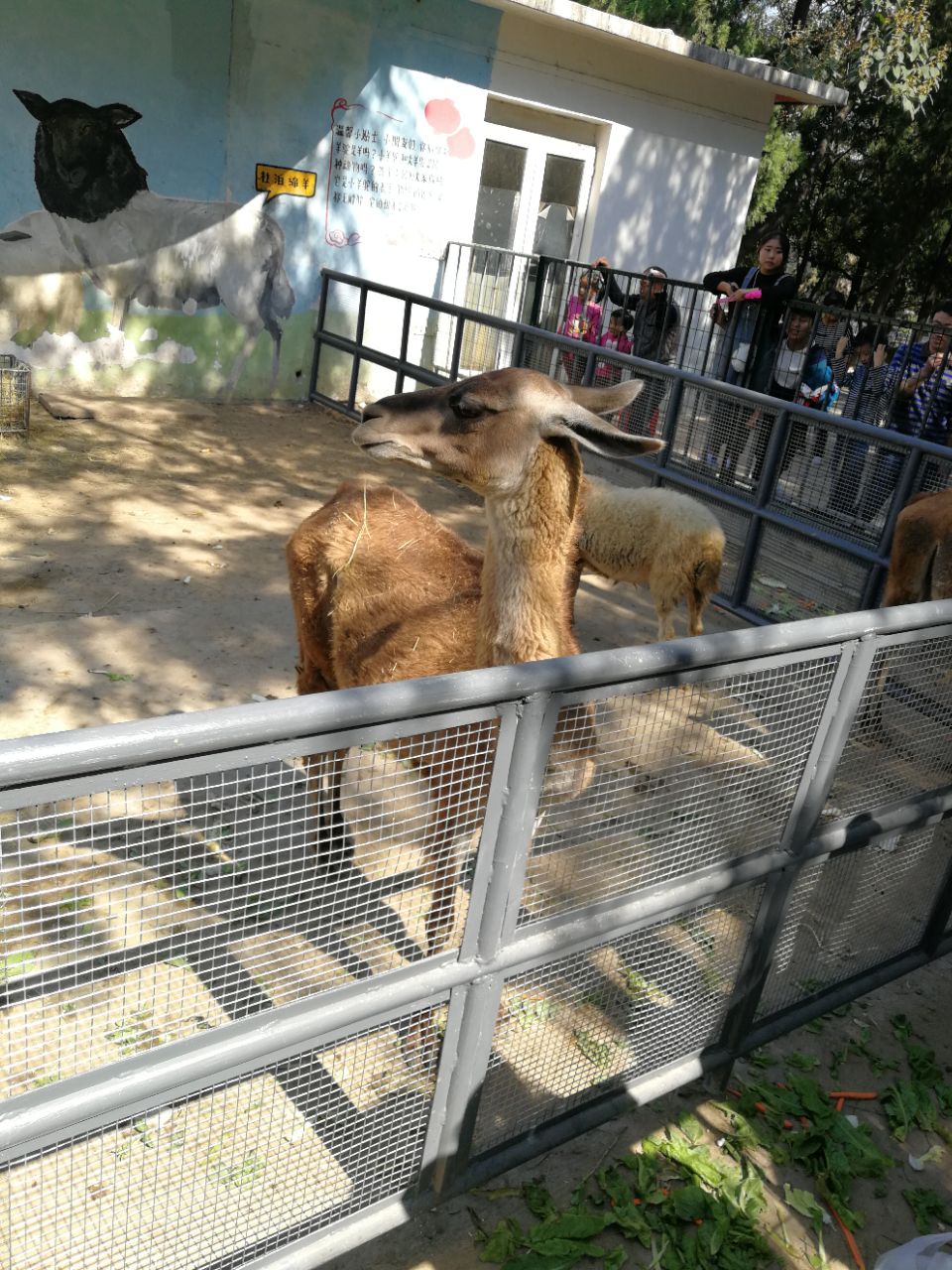 濟南動物園