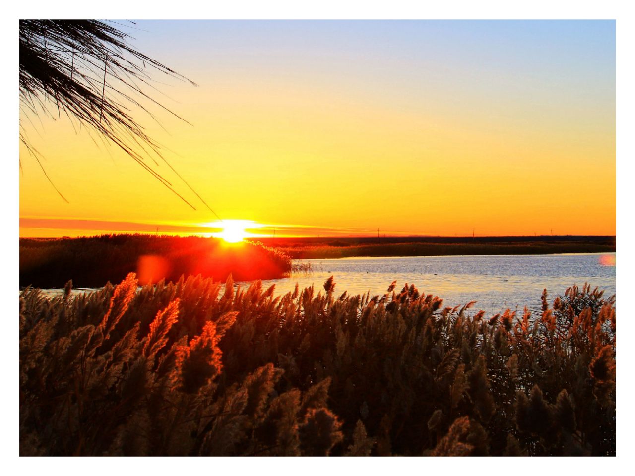 风景不错,尤其早上去看那里的日出是最美的.