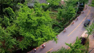 1-Day Changxing Tour: Taihu Lake Longemont Paradise, Bamboo Forest Scenery at Badujie