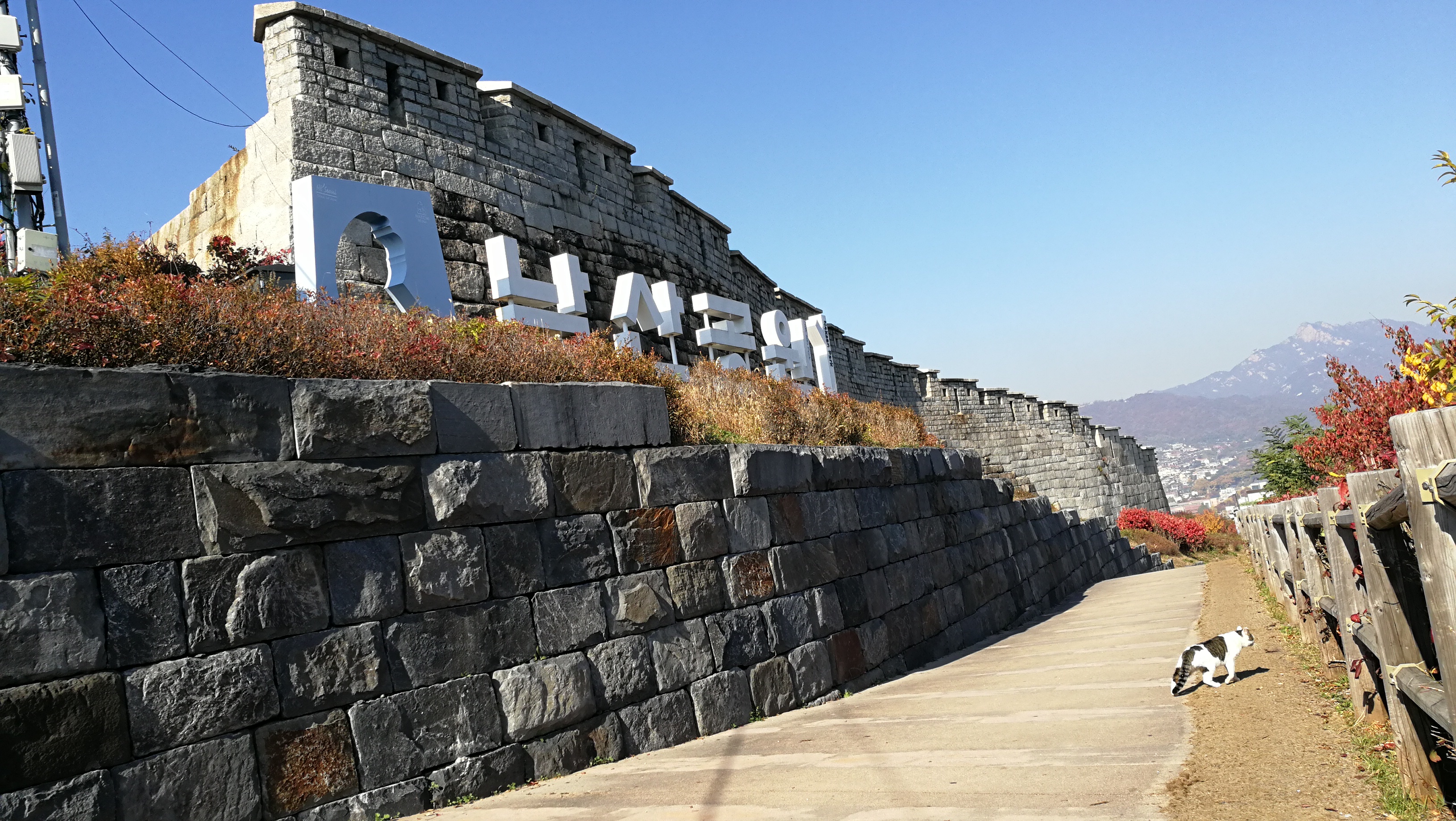 2019骆山公园_旅游攻略_门票_地址_游记点评,首尔旅游景点推荐 - 去