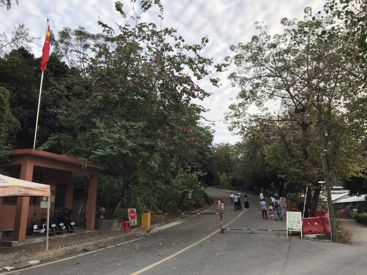 十八羅漢山森林公園