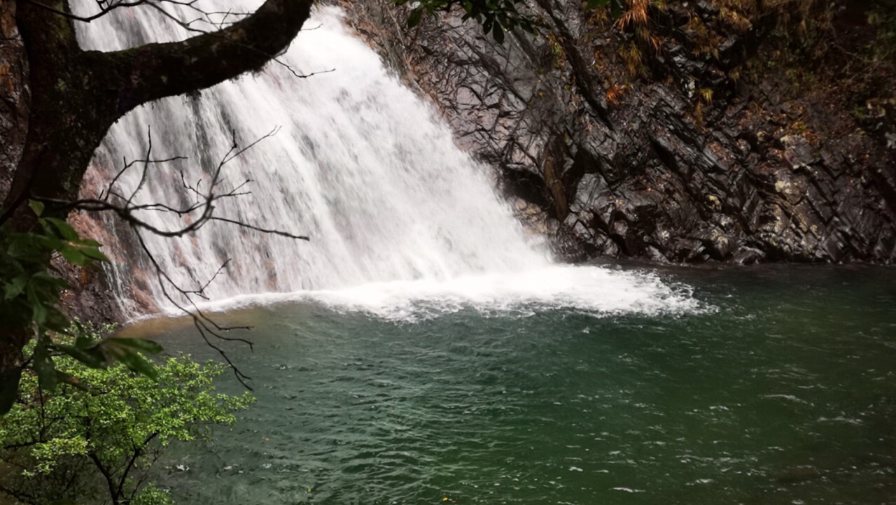 【携程攻略】武夷山大安源景点,大安源生态旅游区在武夷山国家级自然