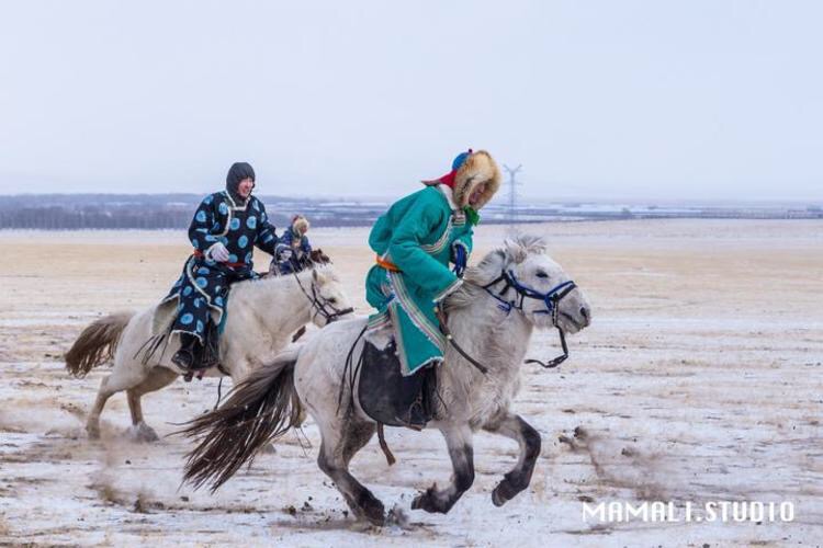 希拉穆仁草原乌兰塔拉开心牧场