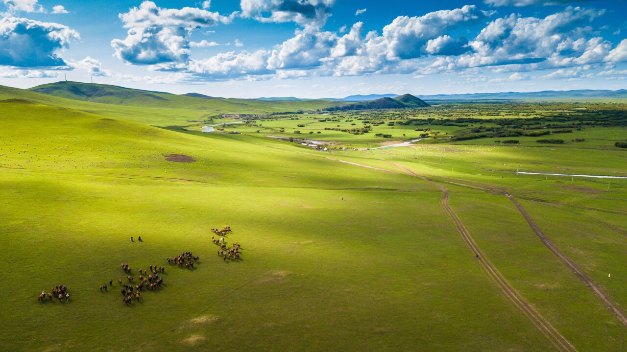 呼伦贝尔呼伦贝尔大草原游玩攻略 呼伦贝尔大草原 门票多少钱 价格表 团购票价预定优惠 景点地址在哪里 图片介绍 参观预约 旅游游览顺序攻略及注意事项 营业时间 携程攻略