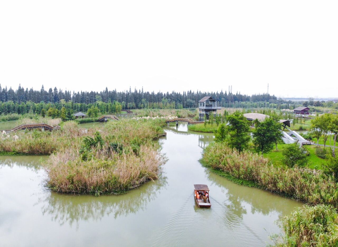 固城湖退圩还湖图片