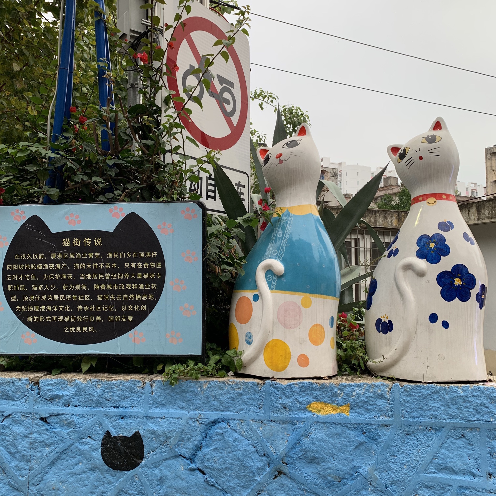 2019猫咪博物馆-旅游攻略-门票-地址-问答-游记点评,厦门旅游旅游景点