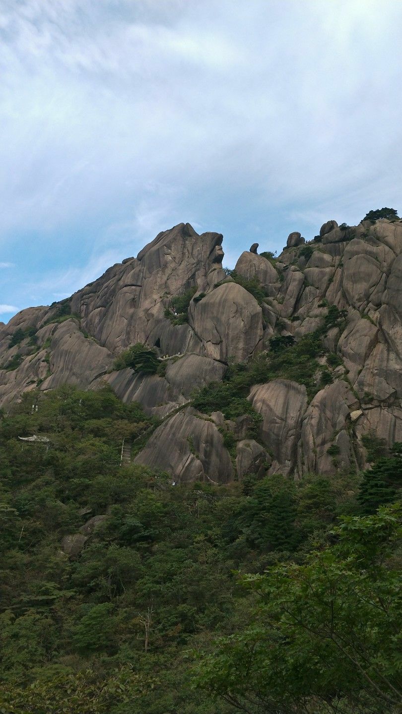 黃山風景區仙人曬鞋攻略,黃山風景區仙人曬鞋門票/遊玩攻略/地址/圖片