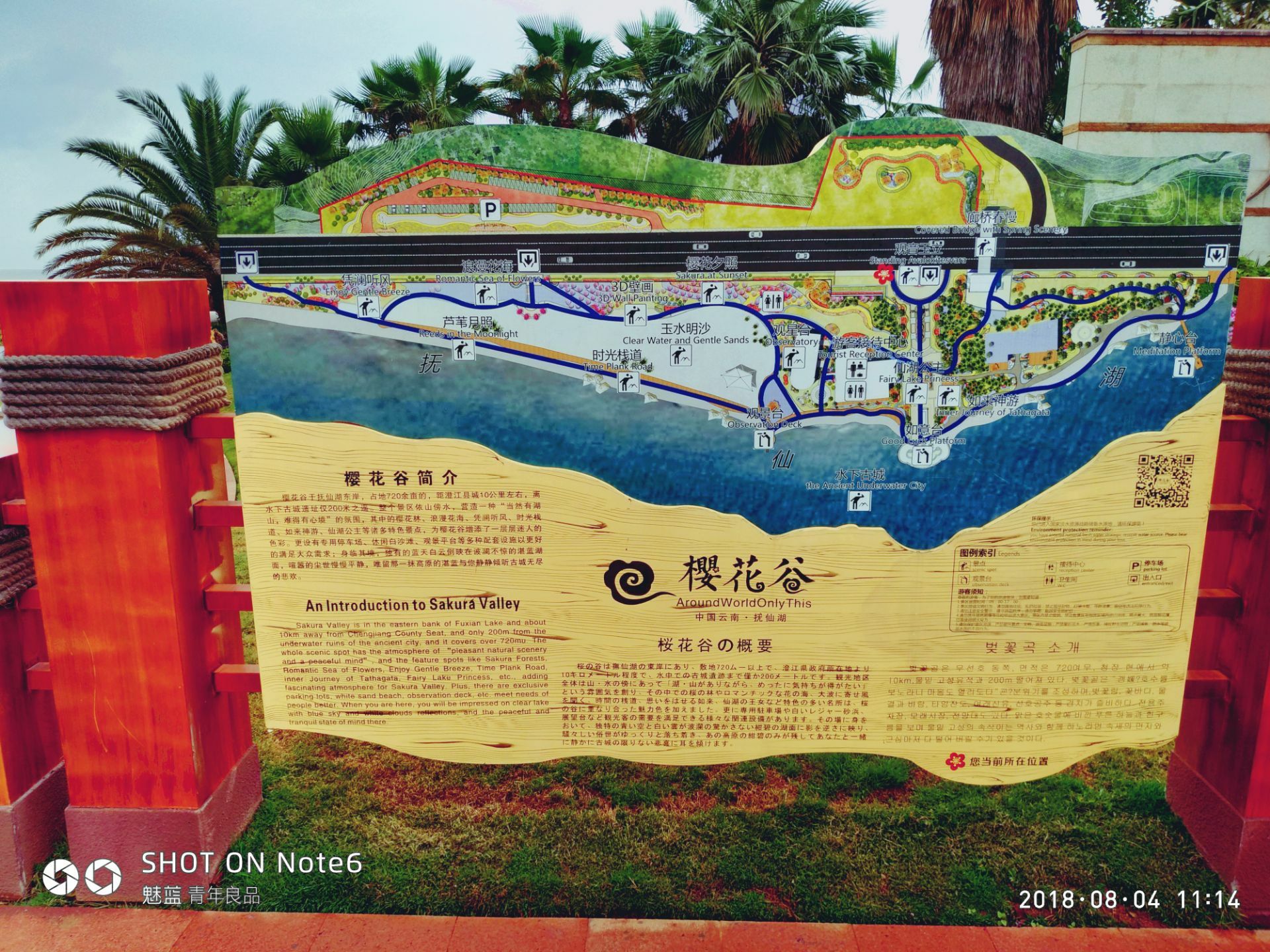 2023樱花谷游玩攻略,抚仙湖沿岸都是景点，樱花谷...【去哪儿攻略】
