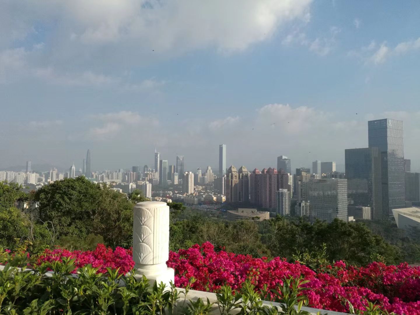 蓮花山公園旅遊景點攻略圖